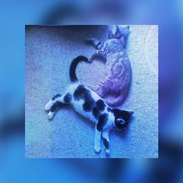 کاور اهنگ Careless Whisper