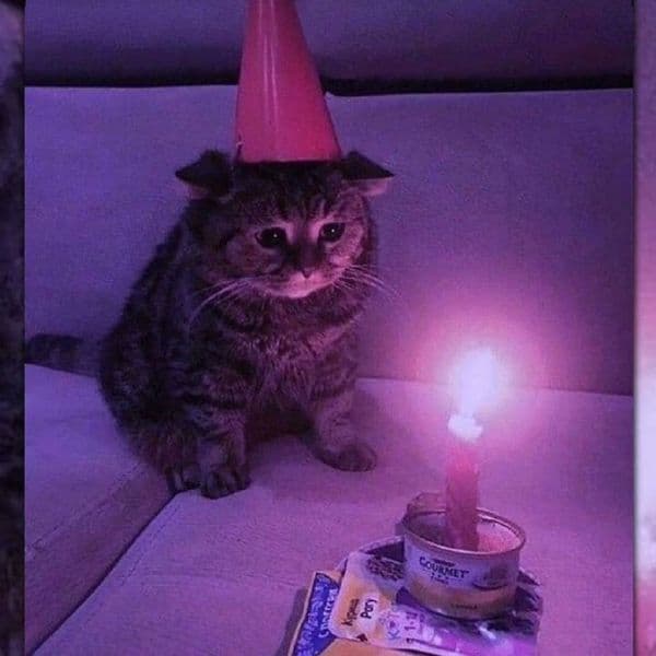 کاور اهنگ CHAMBER OF REFLECTION Sped Up از MAC DEMARCO