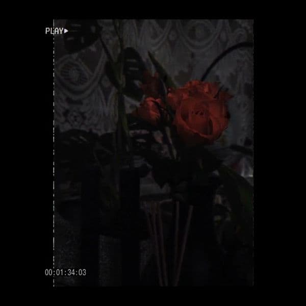 کاور اهنگ Dernière Danse