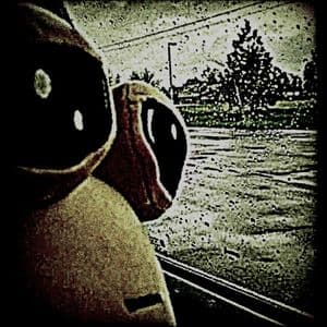 کاور اهنگ FUNK BAD DO BAD Slowed از DJ VTTT77