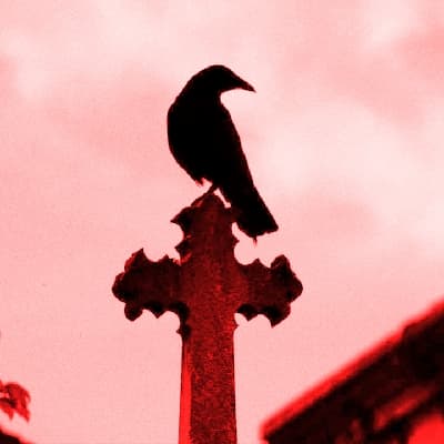 کاور اهنگ Little Dark Age Sped Up