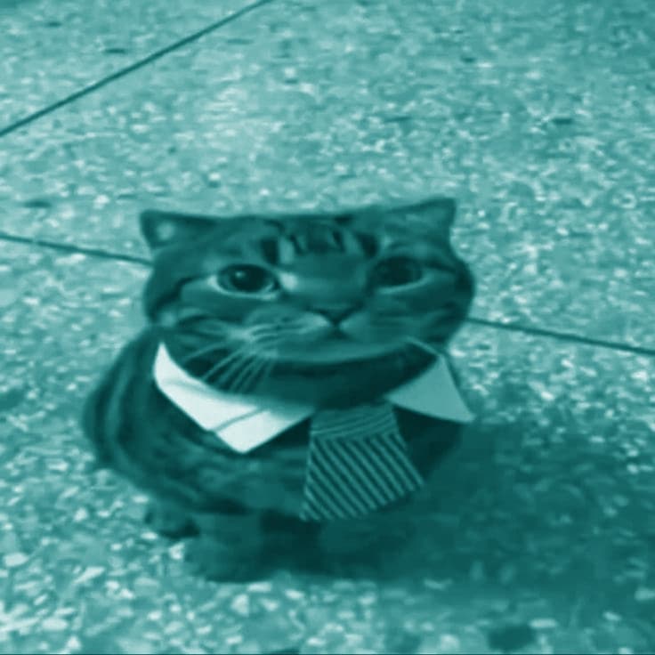 کاور اهنگ macarena Sped Up