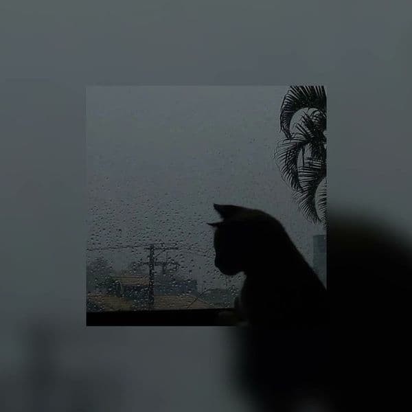 کاور اهنگ Past Lives Slowed