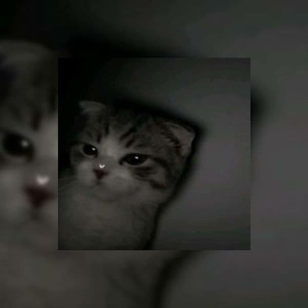 کاور اهنگ Snap Sped Up از Rosa Linn