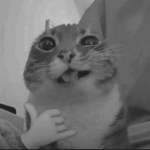 کاور اهنگ Space Cadet Slowed