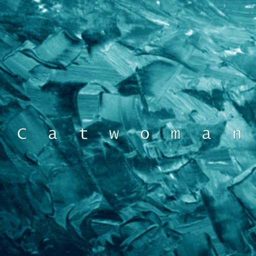 کاور اهنگ Catwoman  Slowed
