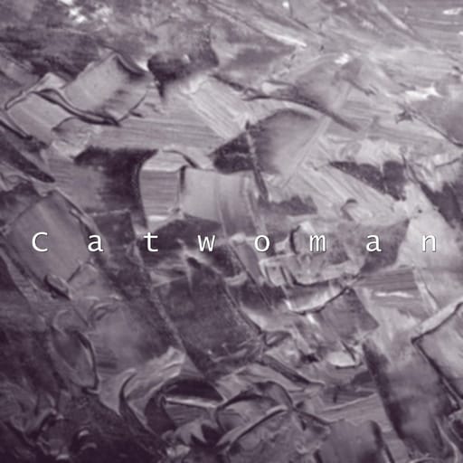 کاور اهنگ Catwoman  از LeoKarlo