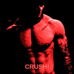 کاور اهنگ CRUSH! Sped Up