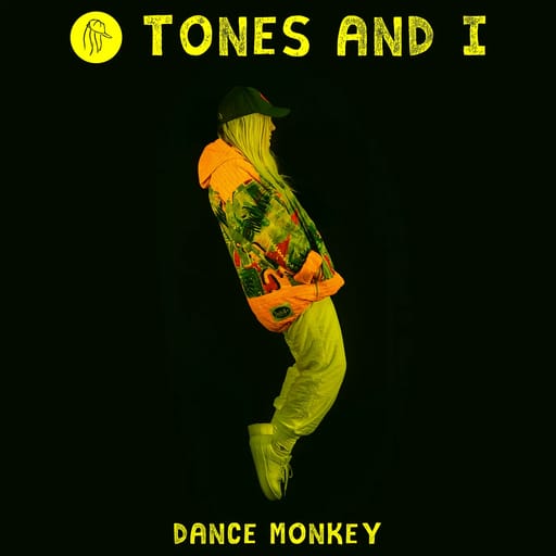 کاور اهنگ Dance Monkey Slowed