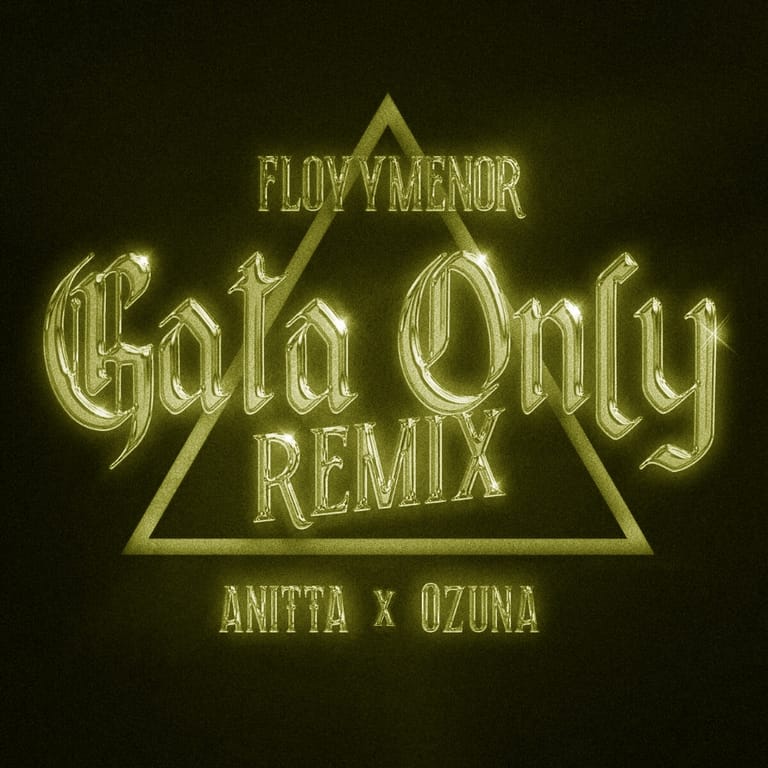 کاور اهنگ Gata Only (Remix) Slowed...