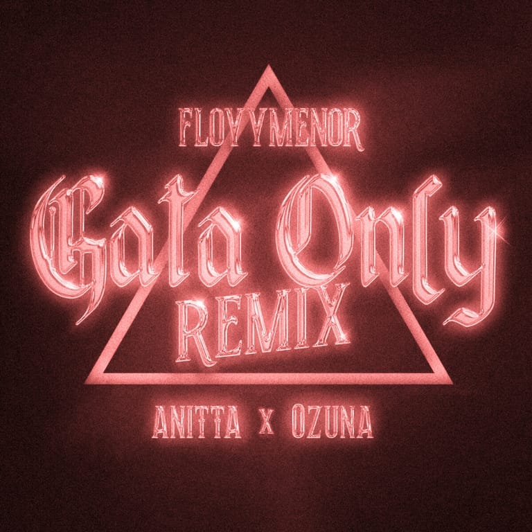 کاور اهنگ Gata Only (Remix) Sped Up...