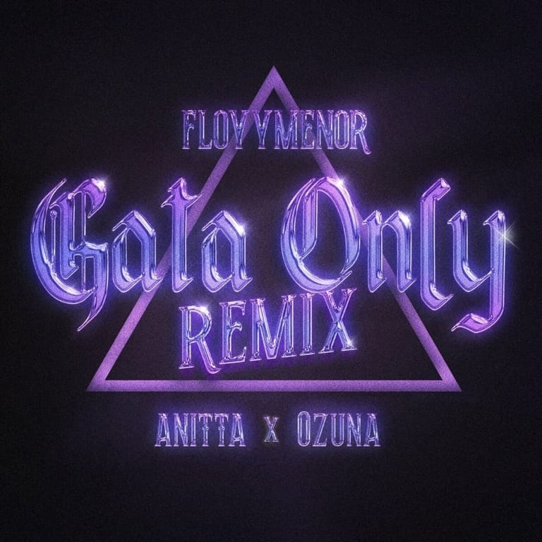 کاور اهنگ Gata Only (Remix)...