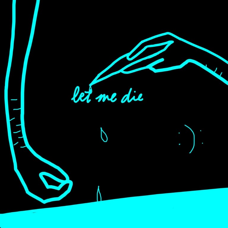 کاور اهنگ Let Me Die Slowed...