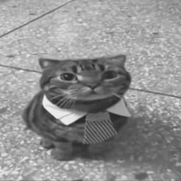 کاور اهنگ macarena Slowed