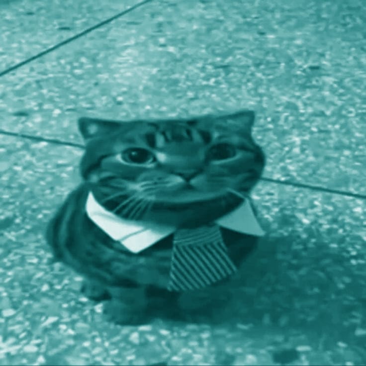 کاور اهنگ macarena Sped Up...