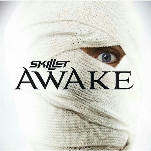 کاور اهنگ Monster  از Skillet