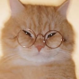 کاور اهنگ Montagem Miau