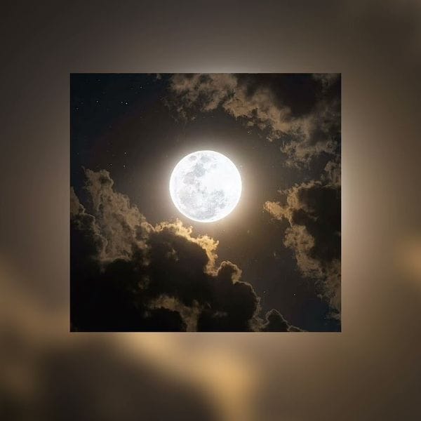 کاور اهنگ ORDINARY Slowed...