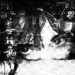 کاور اهنگ Paparazzi (Dubstep) Slowed