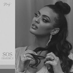 کاور اهنگ Paro Slowed