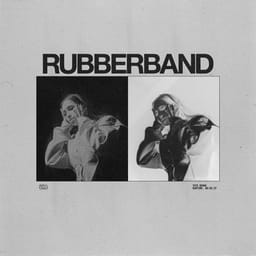 کاور اهنگ rubberband Slowed