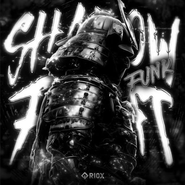 کاور اهنگ SHADOW FIGHT FUNK Slowed...