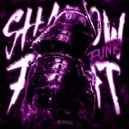 کاور اهنگ SHADOW FIGHT FUNK Sped Up