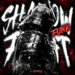 کاور اهنگ SHADOW FIGHT FUNK