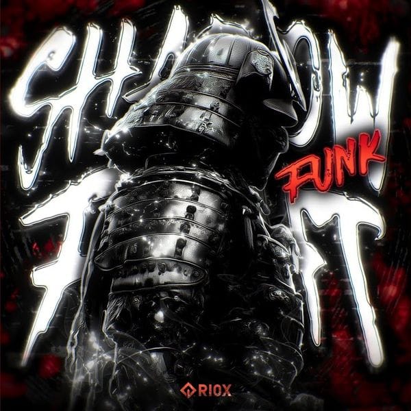 کاور اهنگ SHADOW FIGHT FUNK...