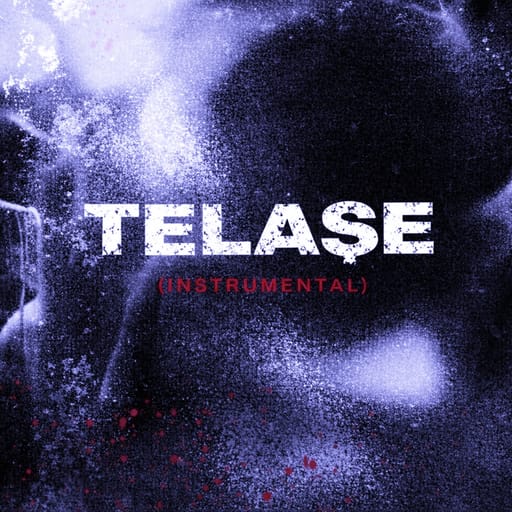 کاور اهنگ Telaşe (Instrumental) Slowed