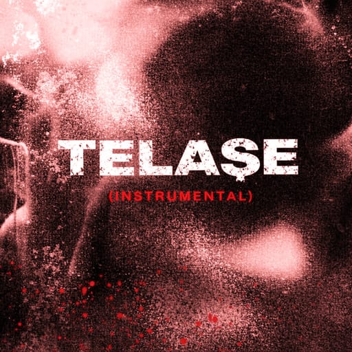 کاور اهنگ Telaşe (Instrumental) Sped Up