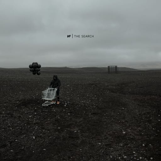 کاور اهنگ The Search