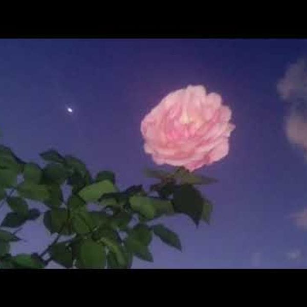 کاور اهنگ Waiting For Love Slowed...