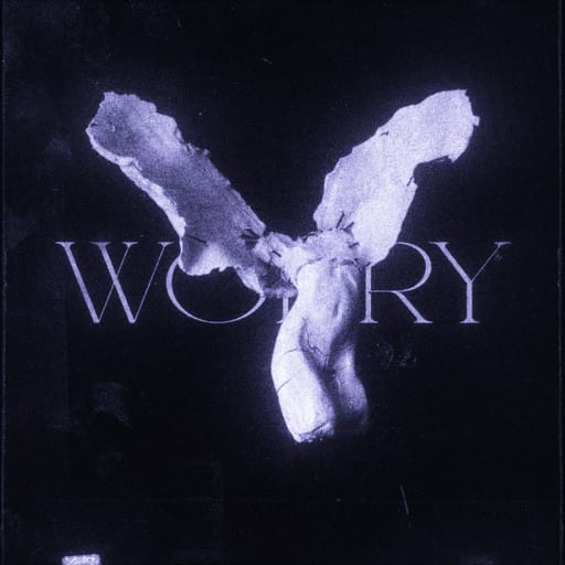 کاور اهنگ worry Slowed