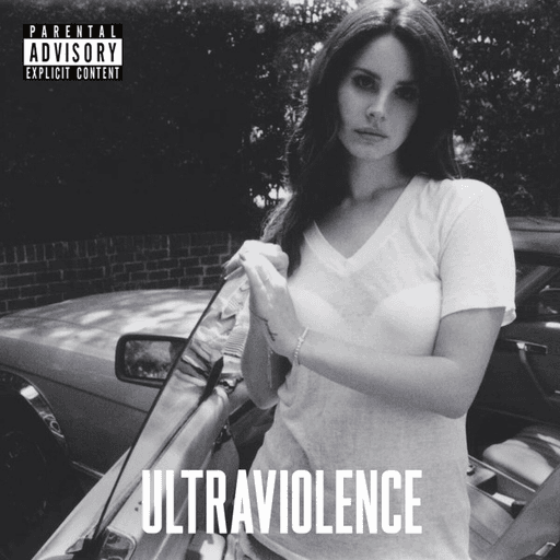 کاور اهنگ Brooklyn Baby از Lana Del Rey