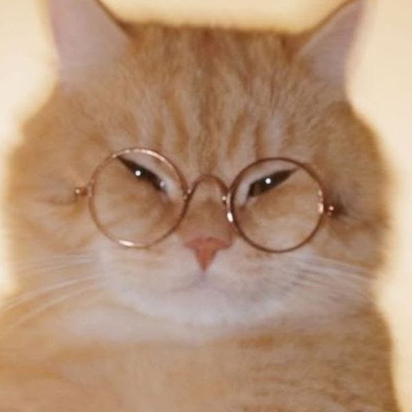 کاور اهنگ Montagem Miau...