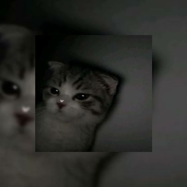 کاور اهنگ Snap Sped Up...